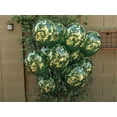thumbnail image 5 of Globos de camuflaje. 24 por paquete. Látex de alta calidad, tamaño de 12 pulgadas. Perfecto para fiestas o celebraciones temáticas al aire libre, caza o militares., 5 of 5