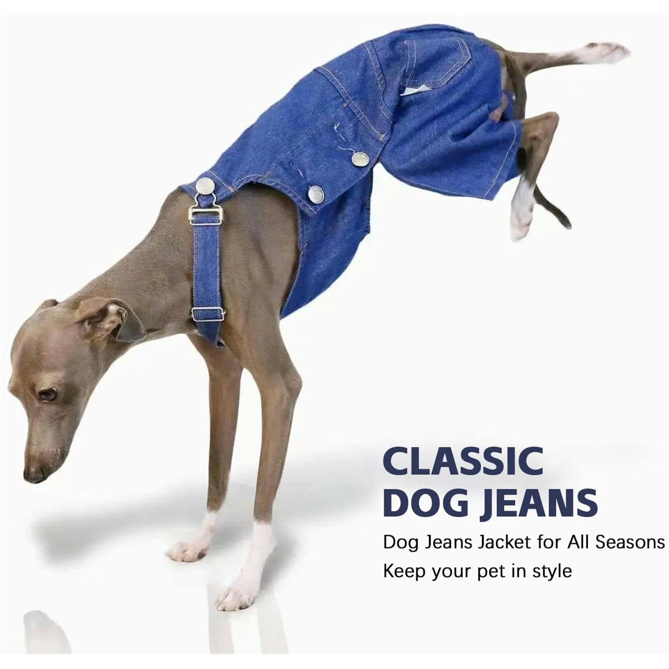 UOSIA Italian Greyhound Clothes Dog Denim Overalls Fashionable Puppy Jean Jacket