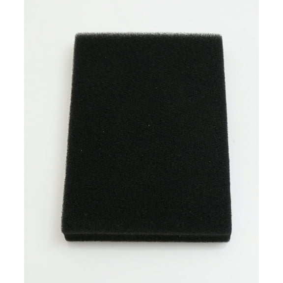 Bissell Pre-Motor Filter for Big Green Complete, 2037082