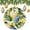 Pattern-4, variant on Christmas Ornament Jungle Pattern with Toucan And Swan Christmas Decoration Keepsake Ornament Tropical Wild Jungle Paradise Toucan Watercolor for Christmas Tree Decoration Xmas Party Decorations
