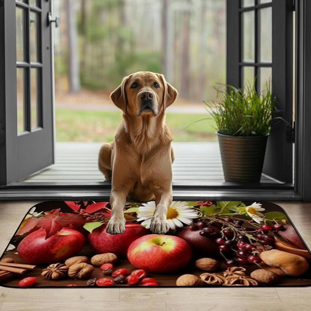 PHYHOO Doormat Floor /Mat - Nature Plants Composition Fruit Autumn Flowers Decorative Door Mat, Door Mat with Non-Slip Rubber Backing, Easy Cleaning, Traps Dirt, for Entry, Patio