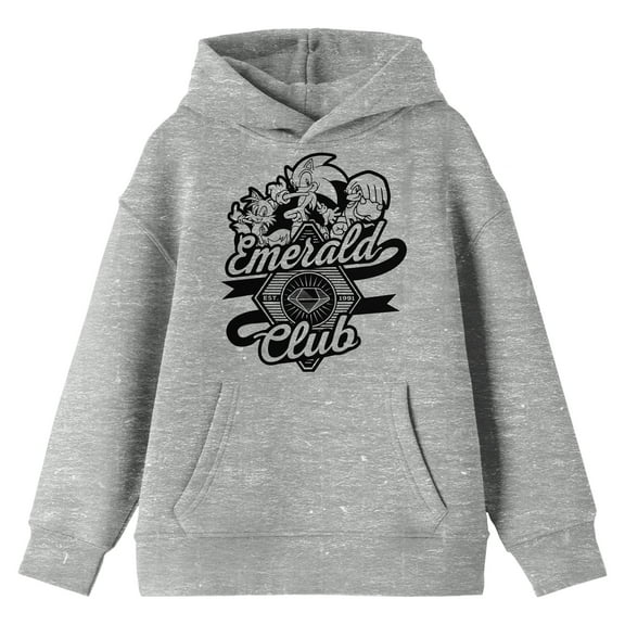 Sonic The Hedgehog Modern Emerald Club Graphic Long Sleeve Athletic Heather Youth Hooded Sweatshirt-Medium