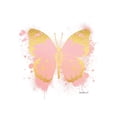 thumbnail image 2 of Greenwood, Amanda 15x18 Black Ornate Wood Framed with Double Matting Museum Art Print Titled - Butterfly Gold and Peach, 2 of 4