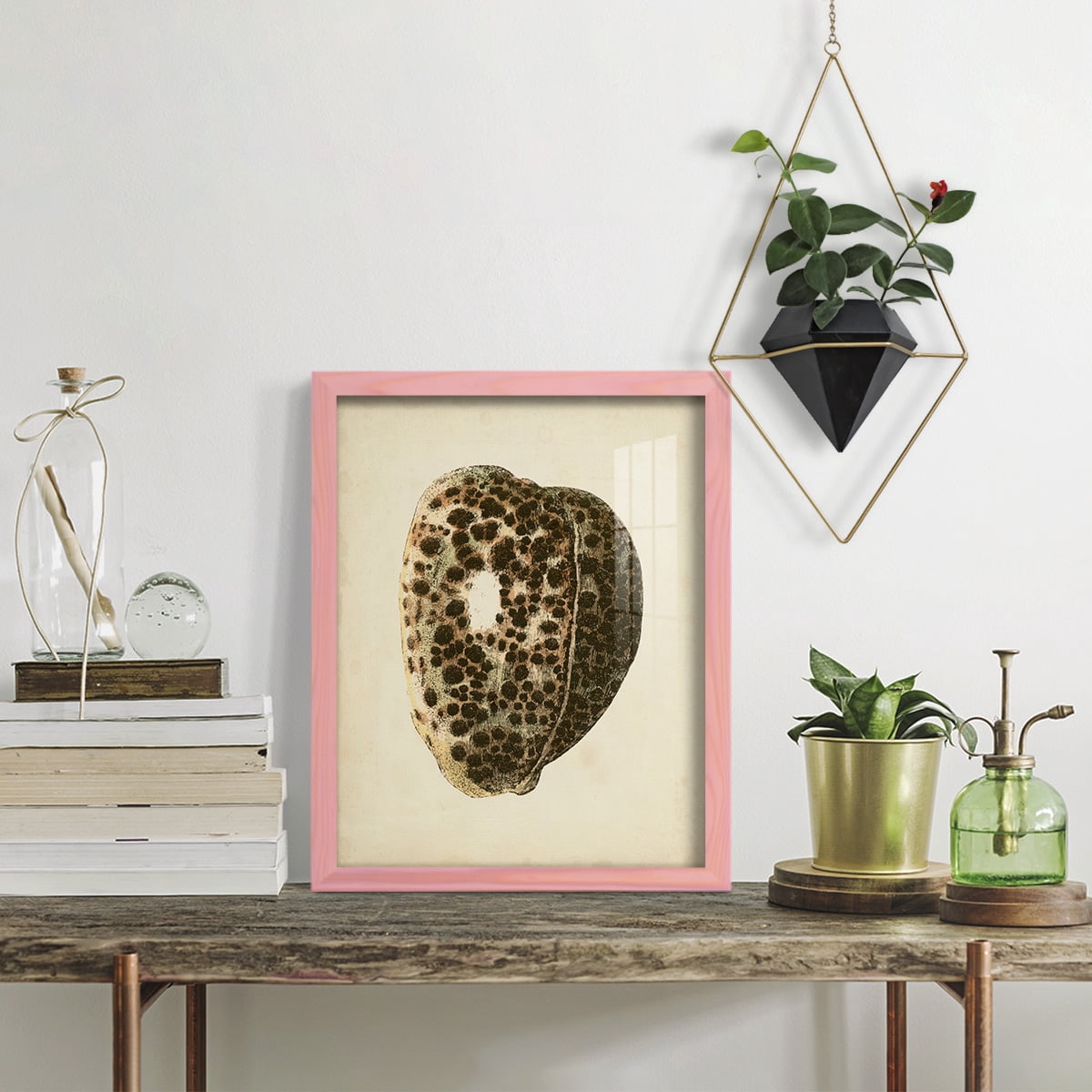 Sealife Collection III - Framed Print w/glass - Sunset Pink