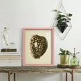 thumbnail image 5 of Sealife Collection III - Framed Print w/glass - Sunset Pink, 5 of 7