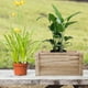 thumbnail image 4 of Caja de Jardinera Rectángulo Caja de Madera Jardinera Rectangular Maceta Maceta Rectángulo Maceta, 4 of 8