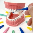 thumbnail image 3 of Palillos de dientes reutilizables Perma Pic (paquete de 6), alternativa al hilo dental, 3 of 4