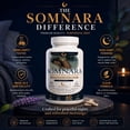thumbnail image 3 of Somnara Sleep Support Supplement with Melatonin, L-Theanine, Magnesium & Vitamin B6, Nighttime Wellness Formula for Relaxation and Restful Sleep, 60 Capsules, 3 of 9