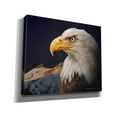 thumbnail image 2 of Epic Graffiti 'Bald Eagle Study' by Chris Vest, Canvas Wall Art, 24"x20", 2 of 3