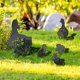 thumbnail image 3 of Decorative Garden Statue Ornament 5 Pack Black Duck Silhouette Stake For Yard, 3 of 5