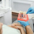 thumbnail image 7 of Dental Implant Model for Patient Education, 4 Times Dental Implant, 7 of 7