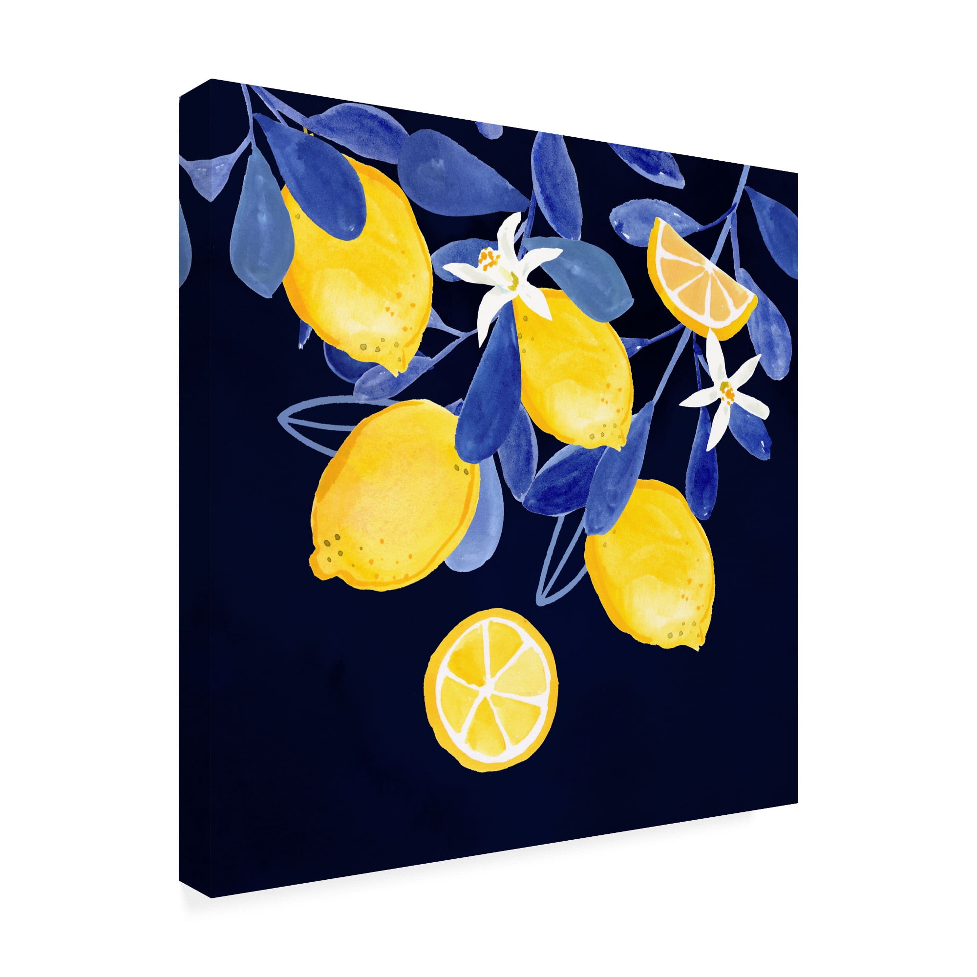 Trademark Fine Art 'Fresh Fruit V' Canvas Art by Victoria Borges