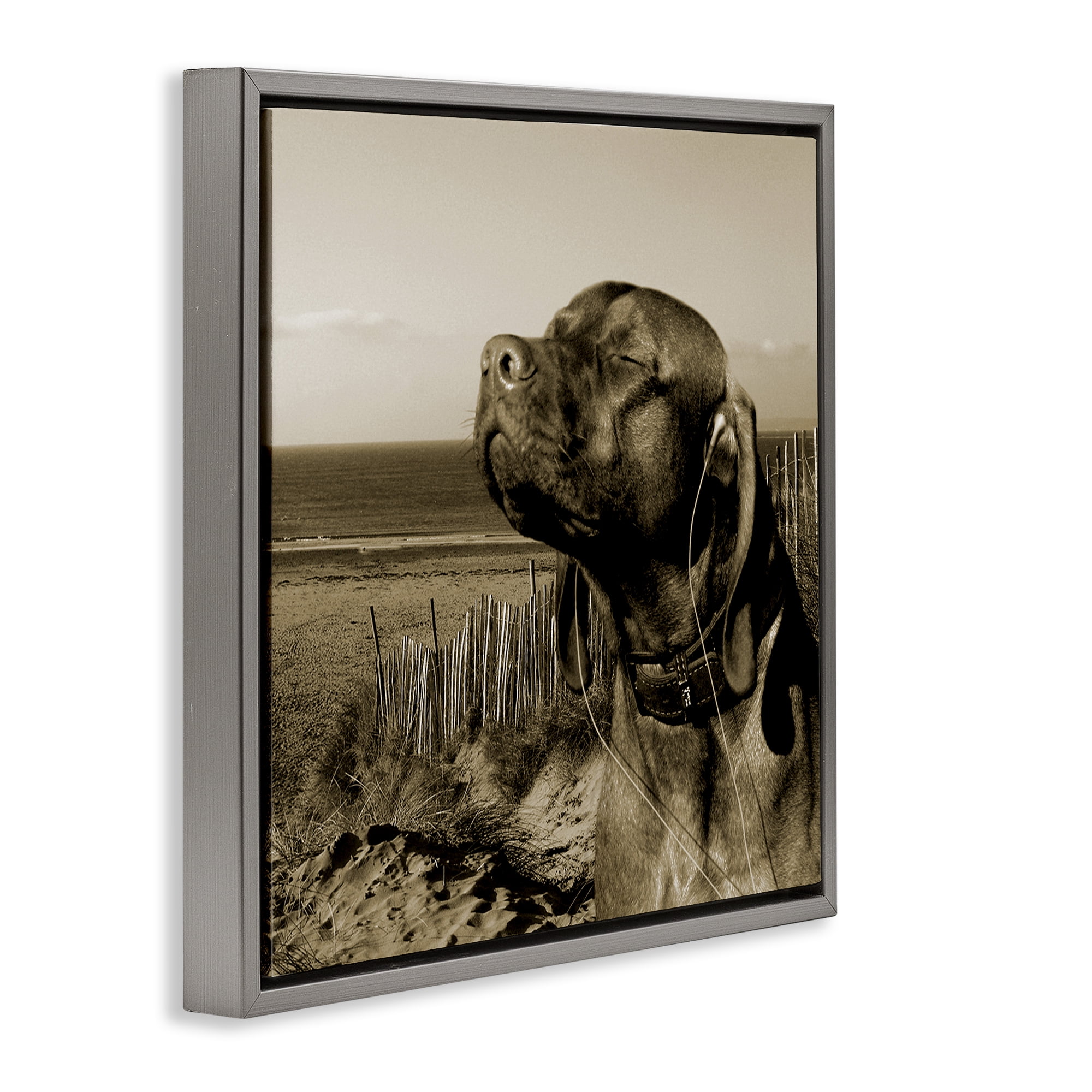 Stupell Industries Relaxed Dog with Music Animals & Insects Photography Gray Floater Framed Canvas Art Print Wall Art, 25 x 25