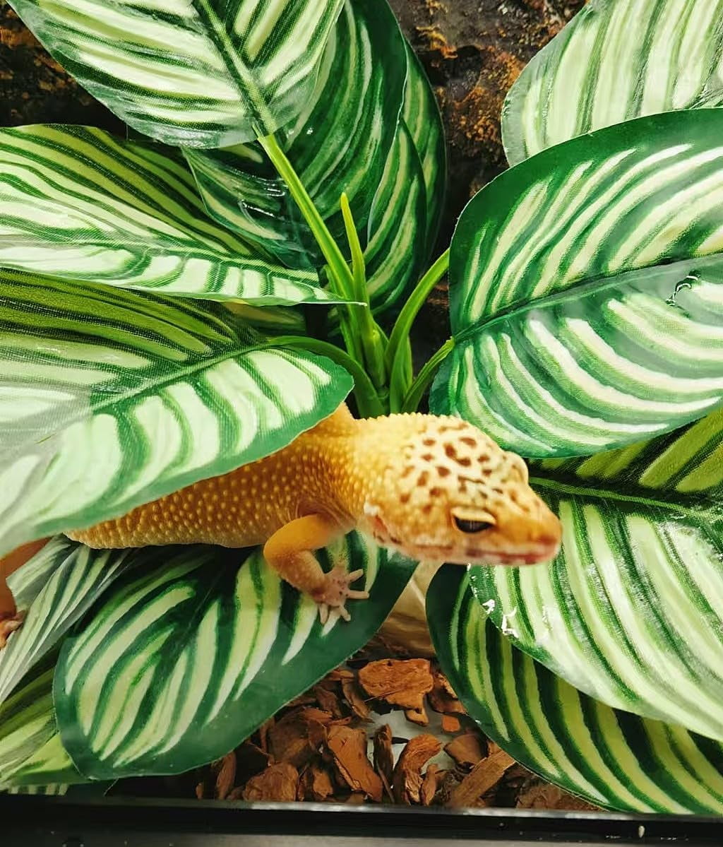 Reptile Terrarium Decor, Amphibian Habitat Decor, Artificial Plants for Crested Gecko Tank Accessories Suitable for Leopard Gecko Bearded Dragon Lizard Chameleon Snake Tortoise
