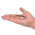 thumbnail image 2 of Berkley PowerBait® Power® Switch, 5 in, HD Yellow Perch, 2 of 4