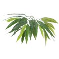 thumbnail image 3 of Vickerman 4' Artificial Mango Bush in a Rattan Basket -TBU2840-0414, 3 of 3