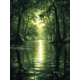 thumbnail image 1 of Qisvanset Framed Canvas Wall Art 12x16 Inch Mossy Swamp Tree Gothic Mystical Nature Wall Decor, 1 of 5