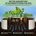 thumbnail image 6 of Galvanized Raised Garden Beds Outdoor,Oval Raised Metal Planter Box With Open Base For Planting Vegetables Flowers Herb,Easy-Assembly, 6 of 8
