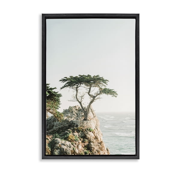 Stupell Industries Cottage Black Floating Frame Canvas Art, 17 x 25, by Sisi and Seb