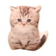 thumbnail image 3 of Lindo juguete de peluche decorativo, muñeco de animal, juguete coleccionable para dormir, sofá de juguete Estilo E, 3 of 9