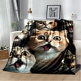 thumbnail image 1 of Couverture Ragdoll Chat Persan Calico Chat Garfield Couverture Douce pour Maison Chambre Lit Canapé Couverture Enfants, 1 of 7