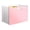 Pink, variant on 13-Pocket Accordion File Organizer, Upright & Open Top, Document Holder with Tabs, High Capacity Expanding File Folder with Handle, Letter Size Essentials for Home, and Office, 12.99x9.25 inch