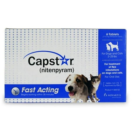 Dog Flea And Tick Pill Reviews Dog Flea And Tick Pill Reviews