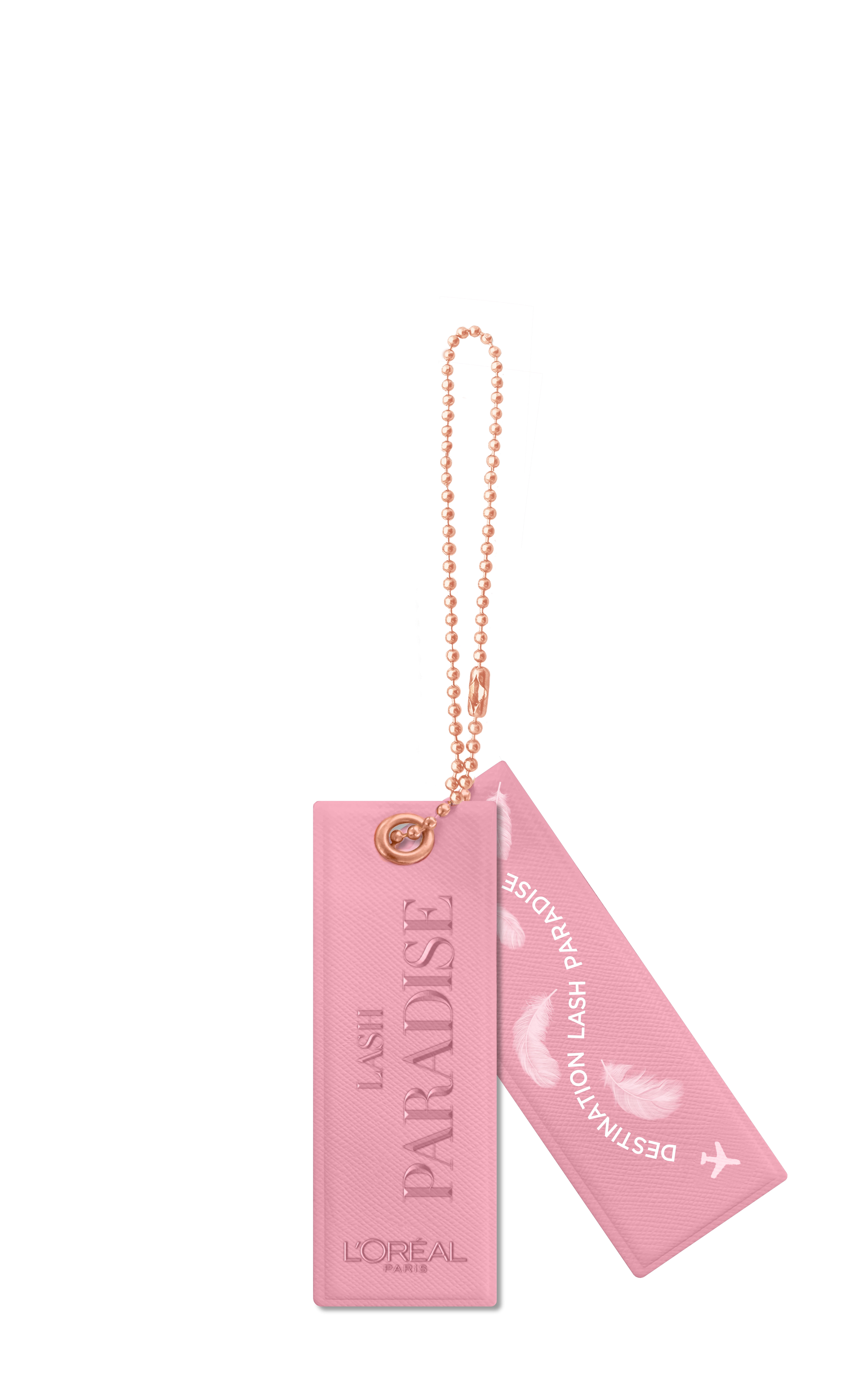 Protege 22 inch Carry-on Luggage Set with Luggage Tags, Blush Pink