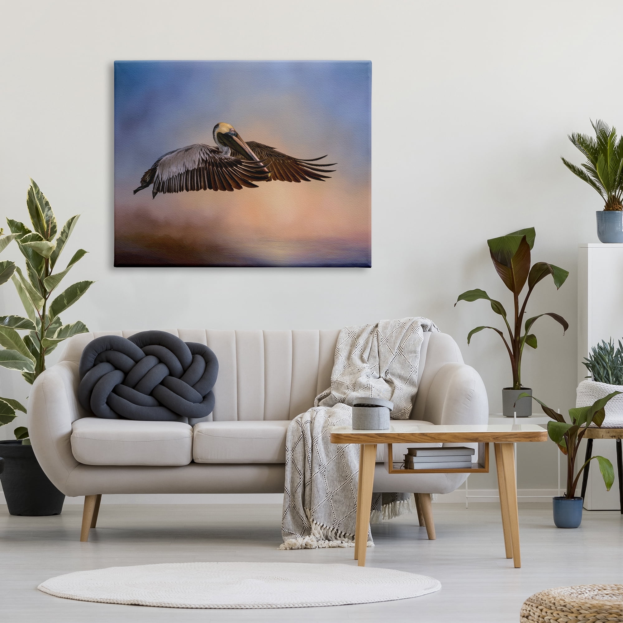 Stupell Industries Graceful Flyer Pelican Portrait Animals & Insects Photography Gallery Wrapped Canvas Print Wall Art, 48 x 36