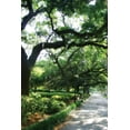thumbnail image 2 of Hausenflock, Alan 11x14 Black Ornate Wood Framed with Double Matting Museum Art Print Titled - Savannah Sidewalk II, 2 of 4