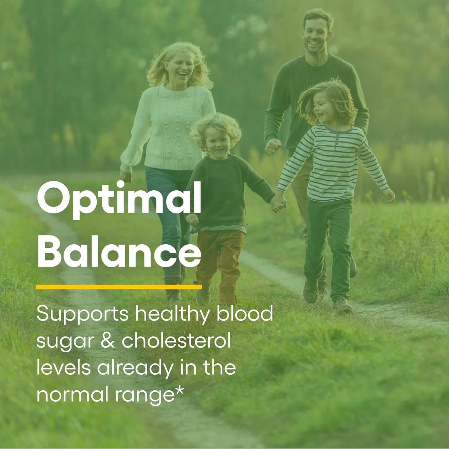 Natural Factors Berberine LipoMicel Matrix Softgels for Healthy Aging and Weight Management, 500 mg, 60 Softgels