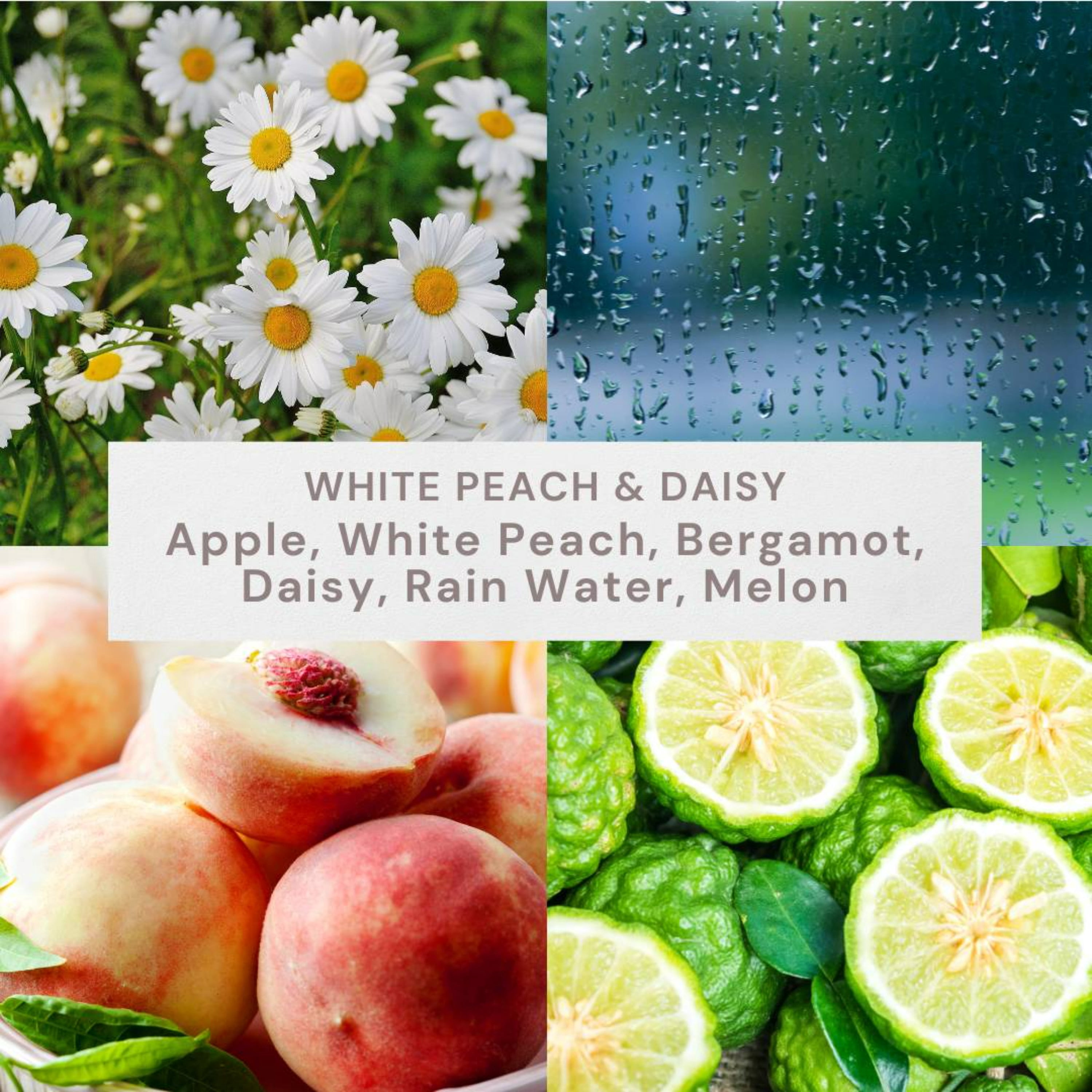 Better Homes and Gardens White Peach and Daisy Scented 2-Wick Ombre Jar Candle 12oz.