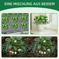 thumbnail image 2 of AXKIIN 10 Packs Strawberry Supports, Strawberry Planting Rack with 4 Sturdy Support Feet, Strawberry Supports for Garden, Strawberry Plant Support Prevent Strawberry Rot., 2 of 6