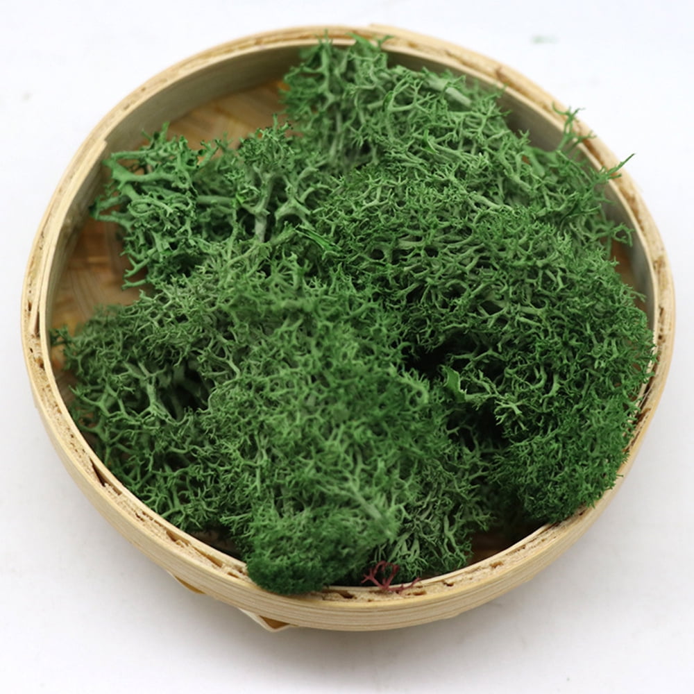 Artificial Moss Decorative Sphagnum Moss Dry Natural Fresh Flowers