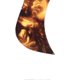 thumbnail image 2 of Pickguard de guitare acoustique autocollant en PVC, couleur écaille de tortue, 41 pouces, plaque anti-rayures pour protection en forme d'oiseau, 2 of 4