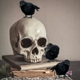 thumbnail image 2 of Cornucopia Brands 4in Black Crows (6-Pack); Imitation Artificial Birds/Ravens for Halloween Decorations, Haunted House & Fall Seasonal Displays, 2 of 10