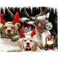 thumbnail image 2 of Sheena Pike Art 18x15 Black Ornate Wood Framed with Double Matting Museum Art Print Titled - We all Just Want to be Rudolph, 2 of 4