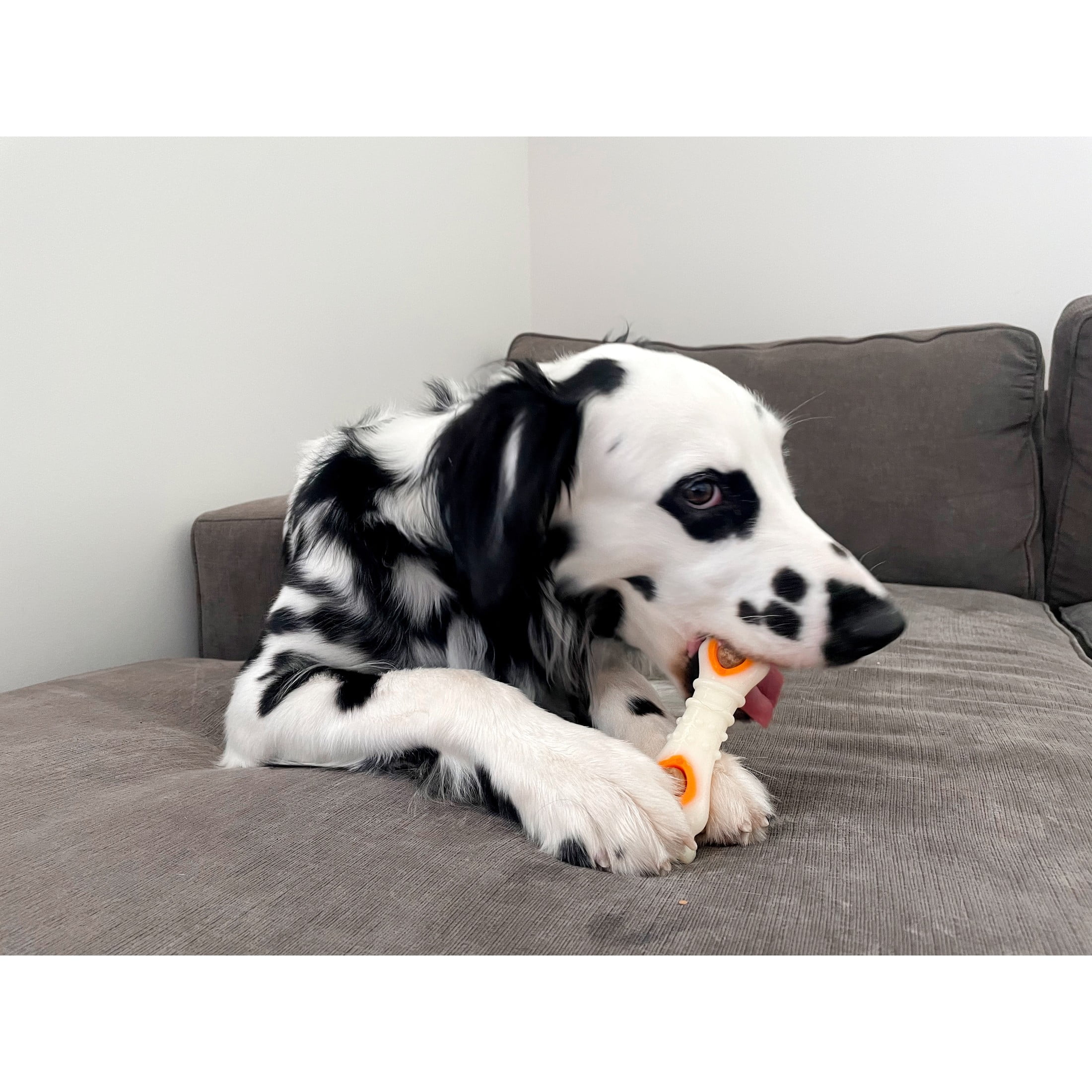 Nylabone Pop-In Treat Toy Dog Treat Refills, Natural Dog Biscuits, Chicken Flavor, 90 Count