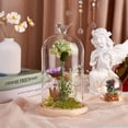 thumbnail image 4 of 1 pc Glass Dome Cover Decorative Display Case Cloche Bell Jar Terrarium with Wood Base Bird 122x230mm, 4 of 5