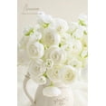 thumbnail image 4 of Flores artificiales Floroom Ranunculus Ivory, 18 unidades, 4 of 4