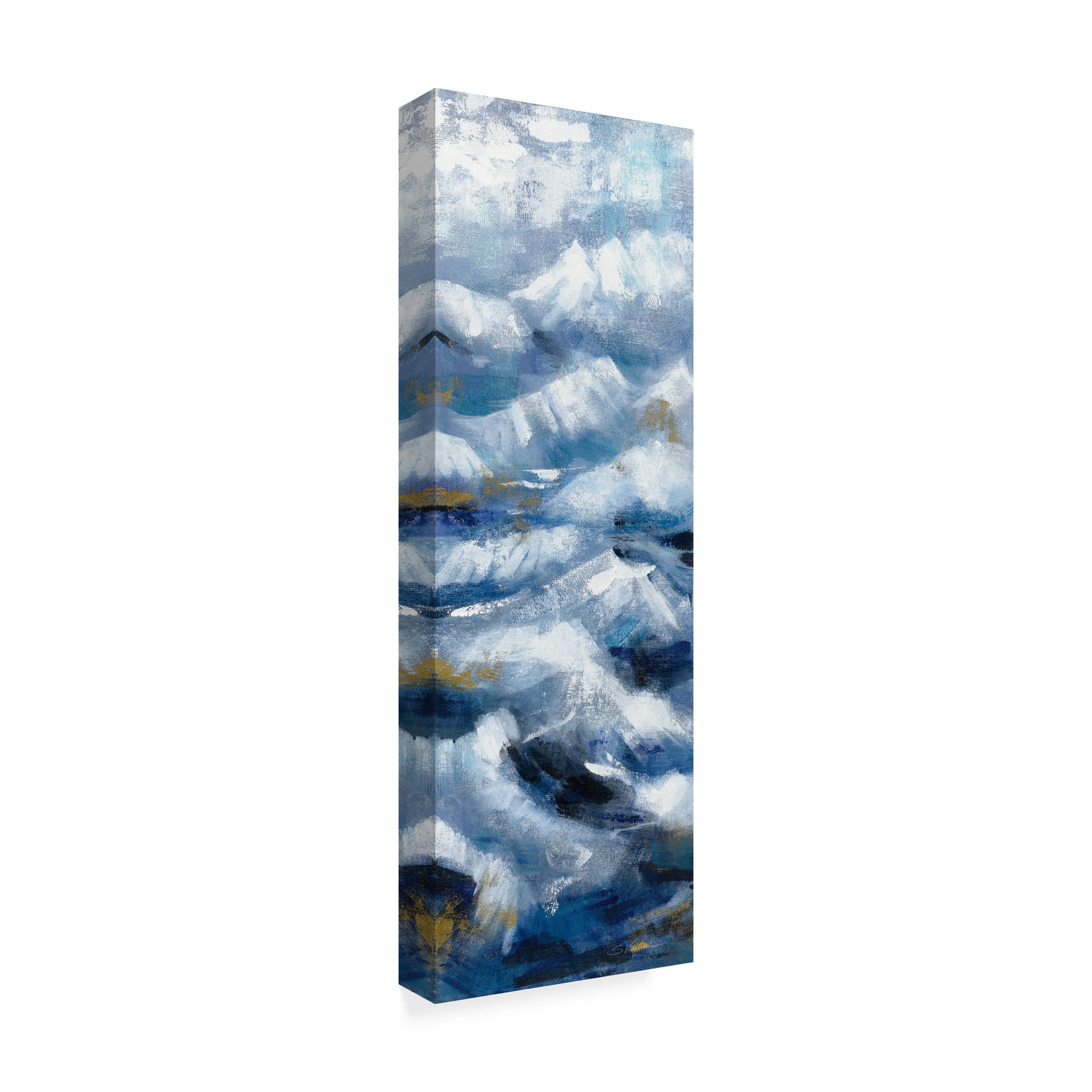 Trademark Fine Art 'Above the Mountains II' Canvas Art by Silvia Vassileva