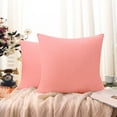 thumbnail image 4 of NTBAY 2 Pack Velvet Throw Pillow Cover, Soft Decorative Square Pillowcase, Cushion Cover with Hidden Zipper, 16"x16", Pink, 4 of 5