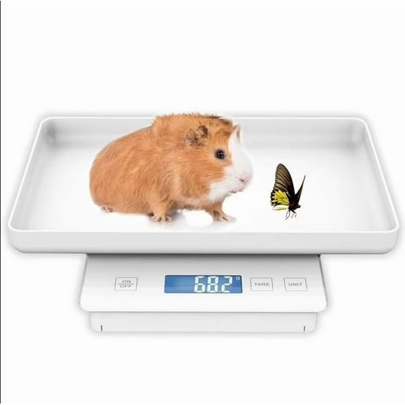 11lbs/0.1g Pet Scale for Small Animal, Whelping Scale, Guinea Pig Weighing Scale, High Precision 0.003oz, Suitable for All Newborn Pets, Kittens, Turtles, Insect