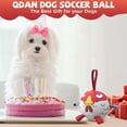 thumbnail image 2 of Pelota de fútbol QDAN de juguete para perros, extra pequeña, para pollos y cachorros, 2 of 5
