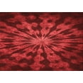 thumbnail image 1 of Ahgly Company Tapis d'Intérieur Rectangulaires Transitionnels Rouges Lavables à la Machine, 2 Pieds x 5 Pieds, 1 of 7