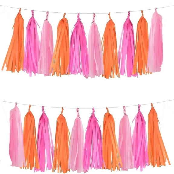 Colorful Paper Tassel Garland - 5 Color Options | 32 x 24cm (12.6 x 9.4in) | Perfect for Birthday, Baby Shower, Wedding Decor