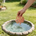 thumbnail image 4 of Bird Bath Plate Decorative Purification Plate with Support Points Natural All Weather Water Suitable for Outdoor Bird Bath Tubs and Bowls Multiple Choices, 4 of 4