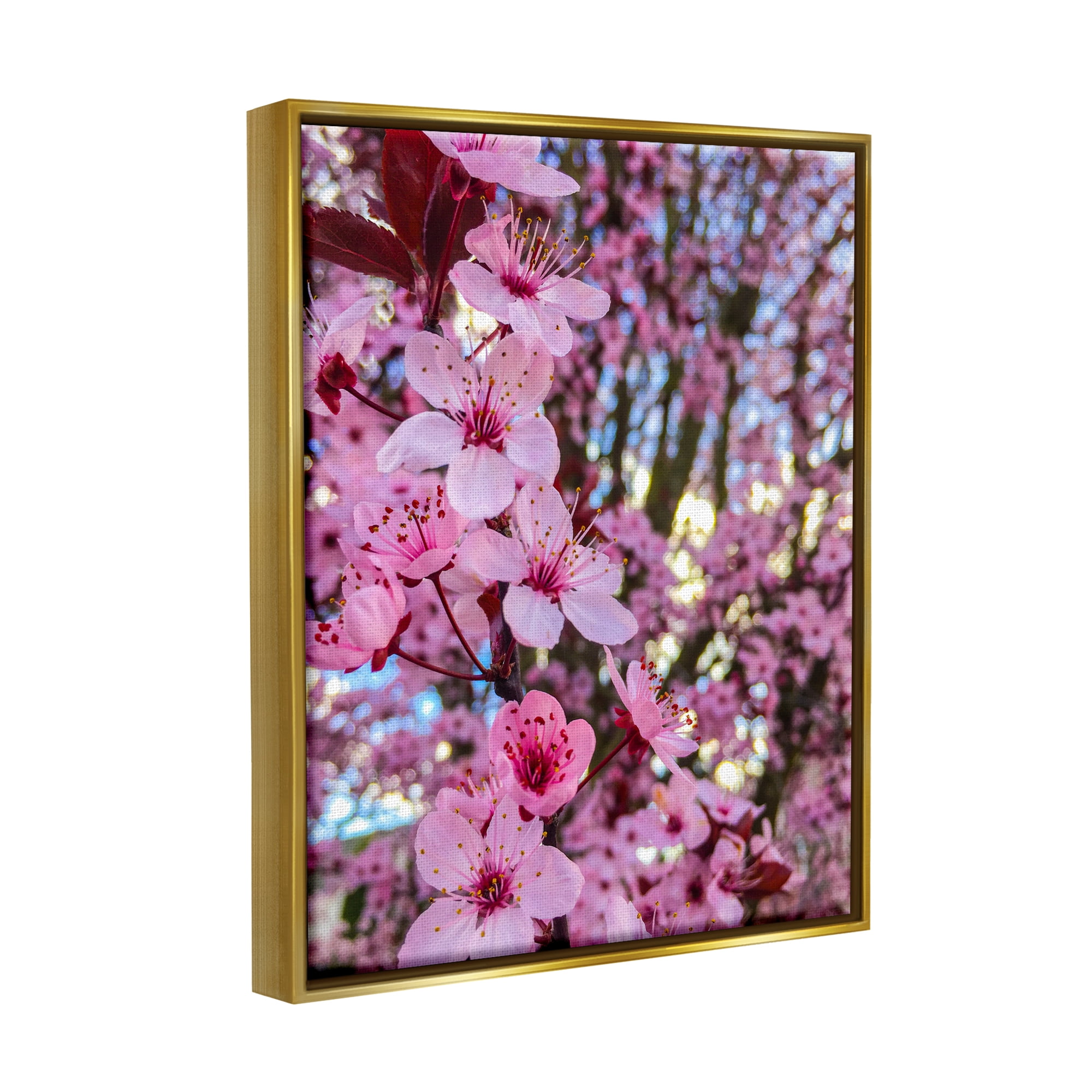 Stupell Spring Cherry Blossom Tree Nature Botanical & Floral Photography Gold Floater Framed Art Print Wall Art