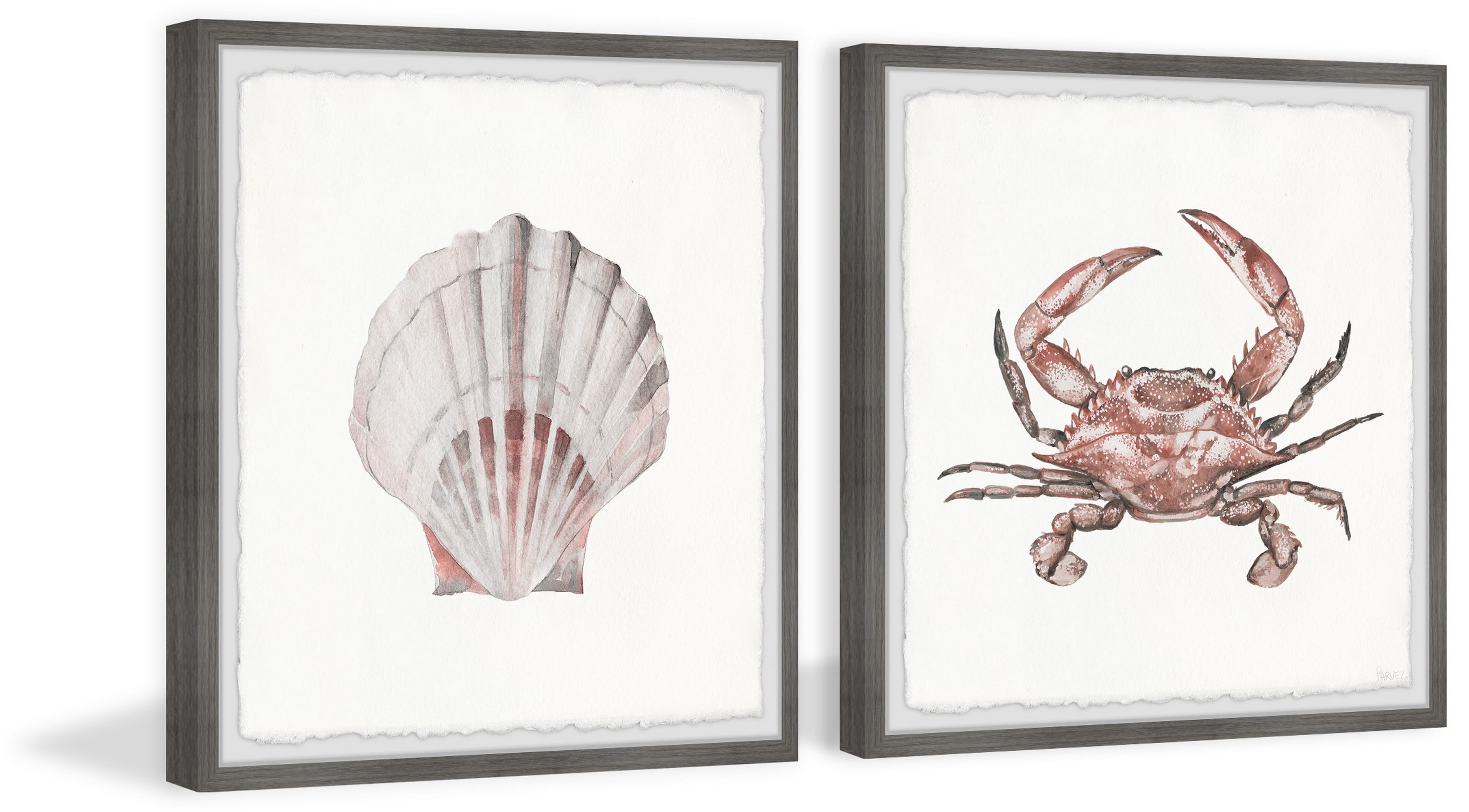 Parvez Taj Crab and Shell Blush Diptych
