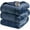 Indigo, variant on Heated Blanket, Electric Blanket, Soft, Warm, Reversible Plush - Sherpa Heating Blanket with 20 Heat Settings, 1-10 hrs Timer Auto Shut Off, Machine Washable